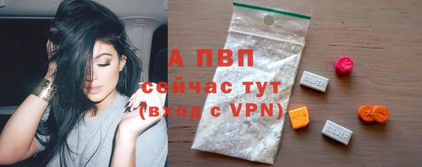 мяу мяу мука Няндома
