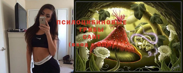кокс Осинники