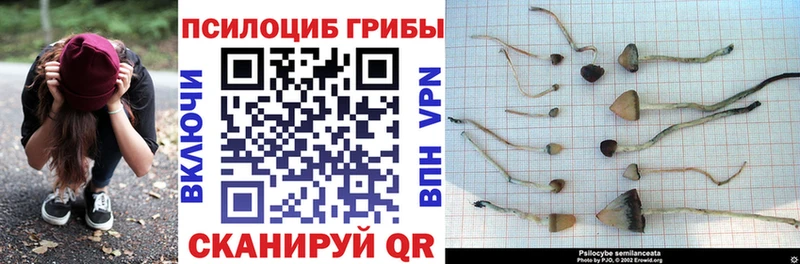 Галлюциногенные грибы MAGIC MUSHROOMS Кяхта